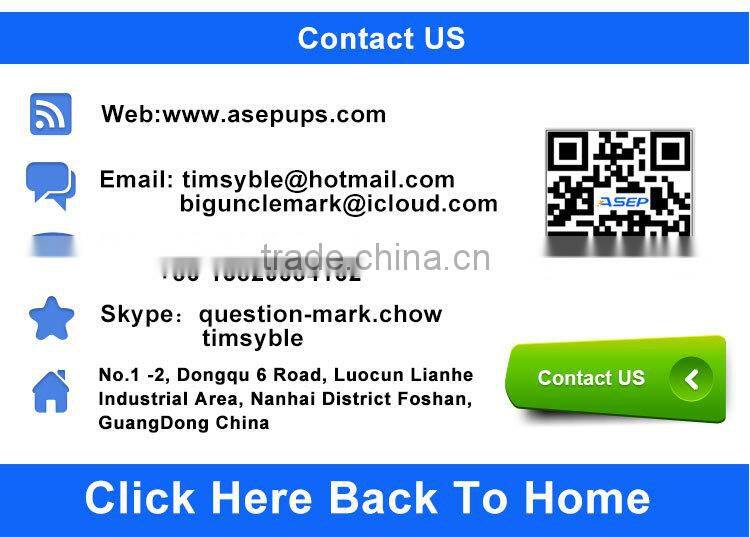 ASEP China Solar Energy Off Grid Hybrid Solar Inverter