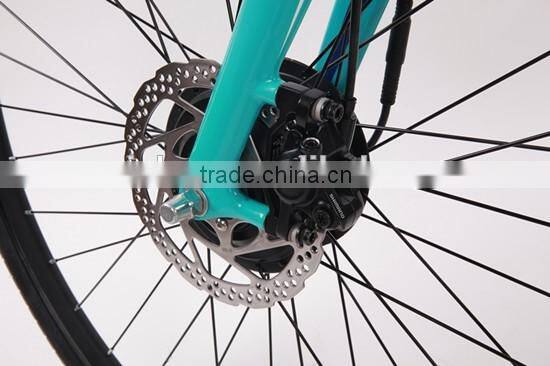 700C Carbon fiber high standard electric bicycle with 8 fun motor (Model YAKE MG)