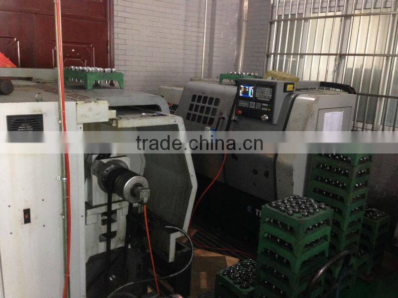 BOSCH diesel plunger, 2 418 455 129 (2455-129)