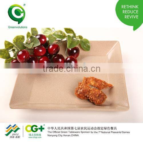 fashion design biodegrable and wholesale simple square plate