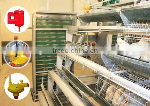 Hot Selling H Type Automatic Poultry Farm Layer Cage In Algeria