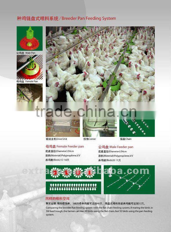 automatic poultry farming equipment for breeder chicken