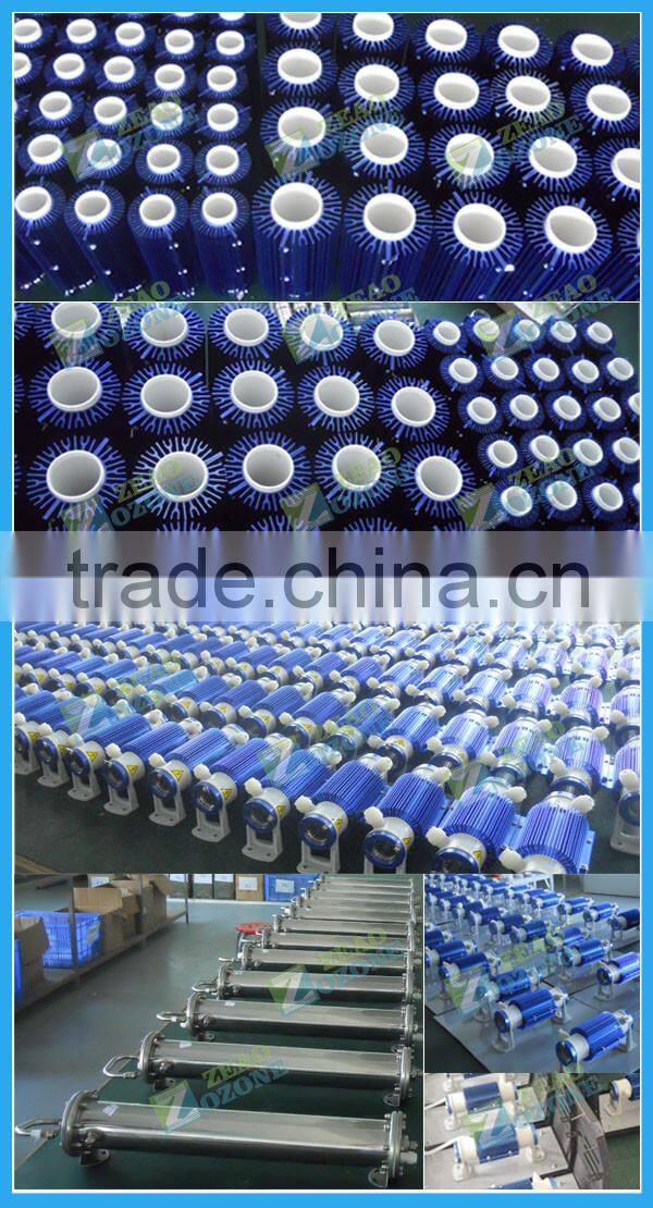 Oxygen source fish farming equipment ozone generator for recirculating aquaculture system