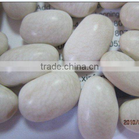 Good white Kidney beans/medium 2010