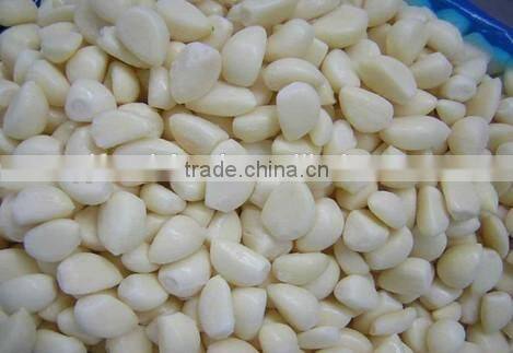 IQF Peeled Garlic