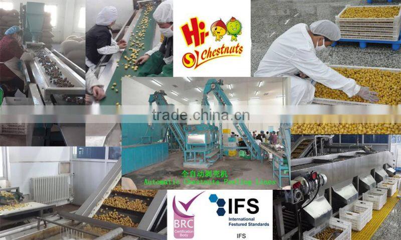 wholesale fresh raw bulk chestnuts