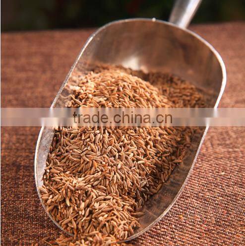 China supplier sales fennel seed from alibaba shop