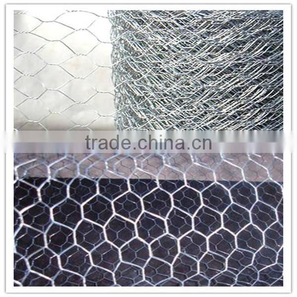 Hepeng company gabion wire mesh/Hexagonal wire netting