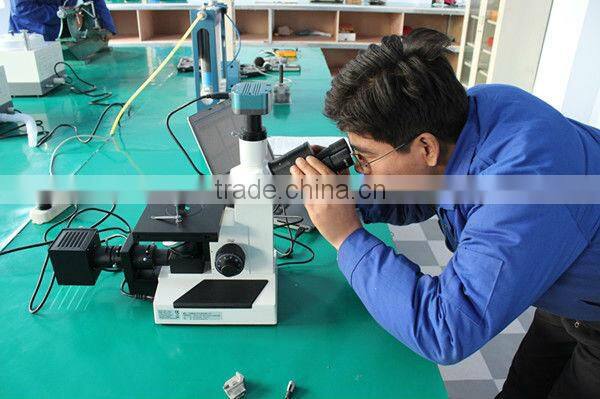 garden and agriculture hot sales portable hand sprayer PS-15