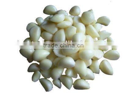 Garlic Separating Machine JY-139