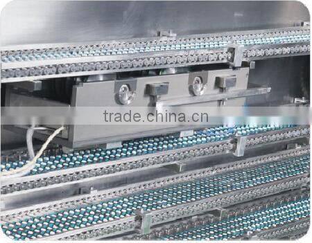 NSF-600 Hard Capsule Sizing Treatment Automatic Heat Sealing Machine