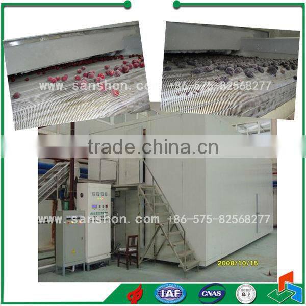 Food Freezing IQF Blast Freezing Vegetable Freezing Machine IQF Broccoli