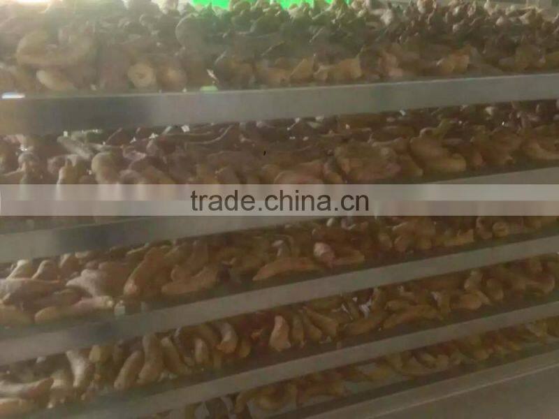 Rhizoma gastrodiae heat pump dehydrator