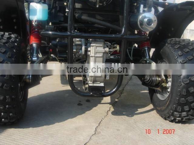 250cc water-cooled Automatic buggy / shaft 250cc EEC Racing Go kart/ 2wheels drive go kart 250cc for sale (TKG250E-D)