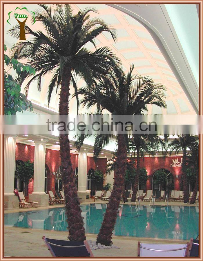 pinnation palm tree of team for indoor display decoration