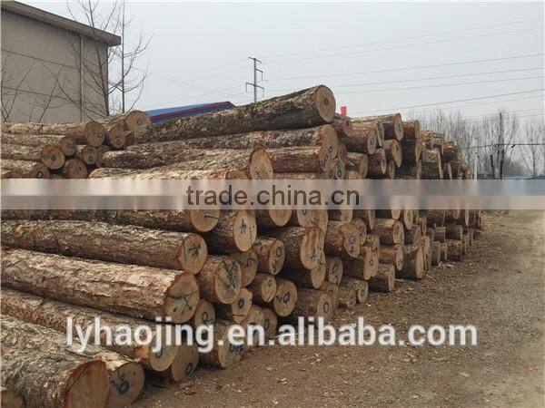 Professional wood peeling machine / tree peeling machine / log peeling machine