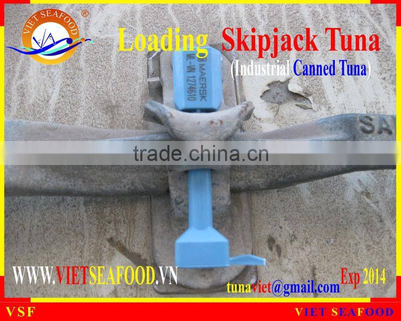 LOADING FROZEN SKIPJACK TUNA