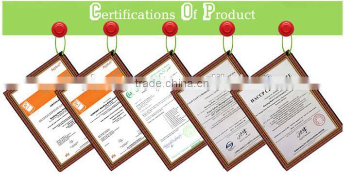 Hot sell good quality tomato ketchup (tomato paste manufacture)