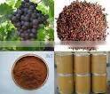 Grape Seed extract