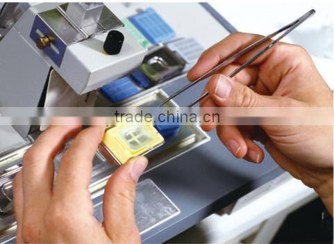 Precision Professional Watchmakers Tweezers Pointed Straight AK-12