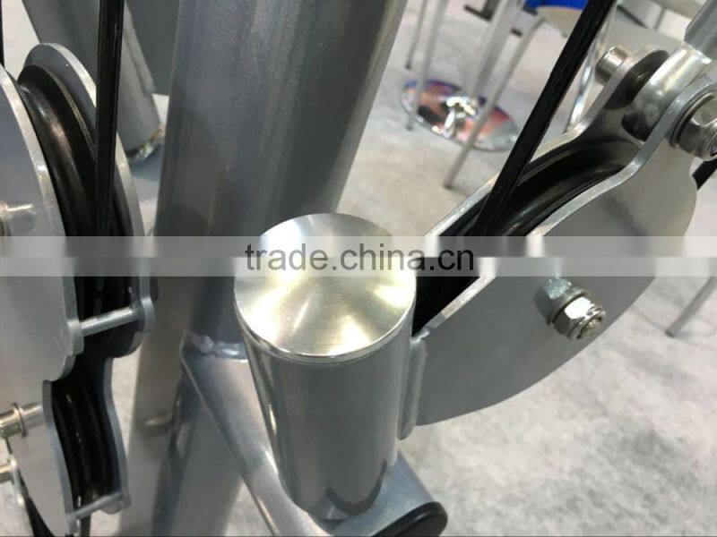 best selling machinery/gym equipment factory/body strong fitness equipment/Commercial triceps dip TZ-8050