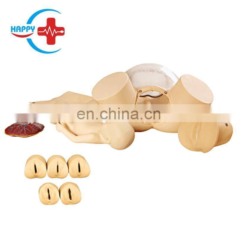 HC-S302 High Quality Medical Pregnancy model/Childbirth Simulator/Nursing training gynecology model