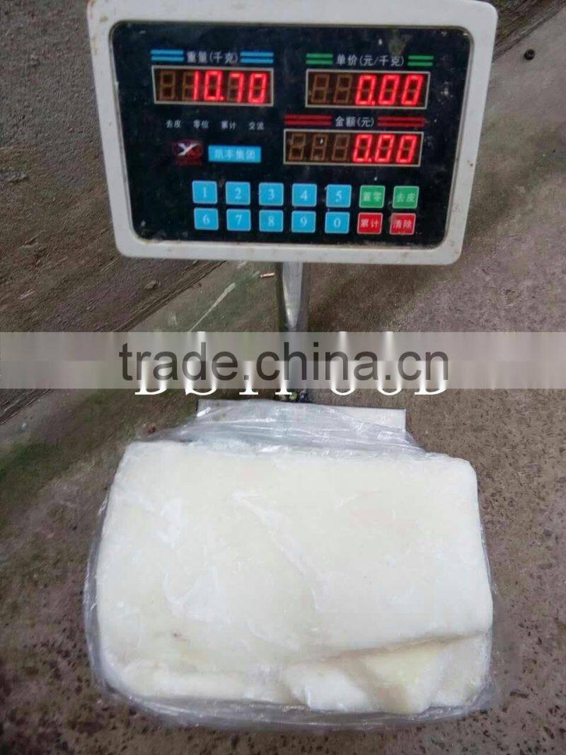 frozen peru giant squid