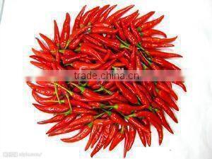 Good Quality Chilli Dehydrated Powder and Chilli Dehydrated machine