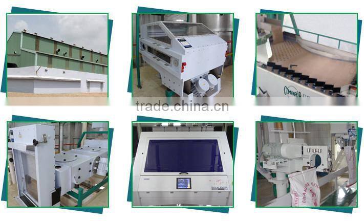 Natural Sesame Seeds with 99.95% Purity Levels at Wholesaler Rate for Mass Purchase