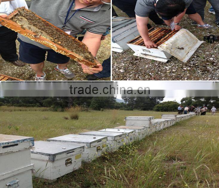 2 frames honey extractor honey processing equipment honey separator