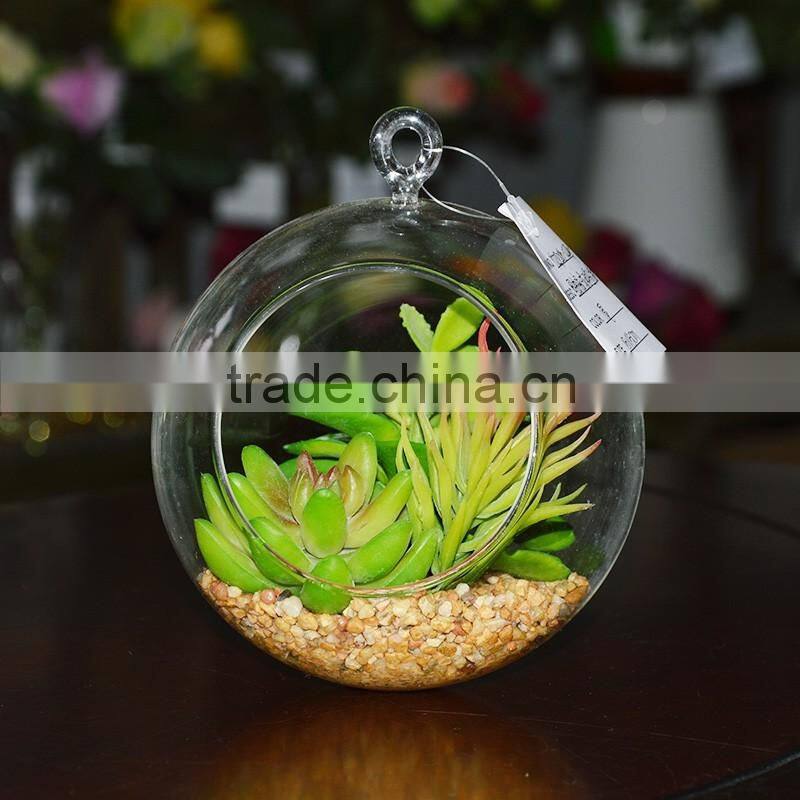 2016 new style Home decor ashtrays indoor glass plant terrarium