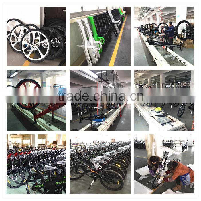 20" foldable Fat electric bike in china