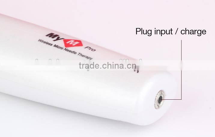 Christmas promotion dermaroller pen 36 or 42 pins pen from Beir DNS60