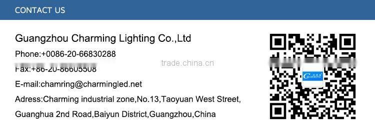 Flexible outdoor building decorative led intelligent running pixel light