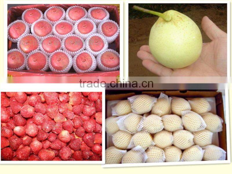 Quick frozen Strawberry