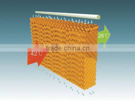 Perfect Greenhouse exhaust fan/Poultry exhaust fan in China