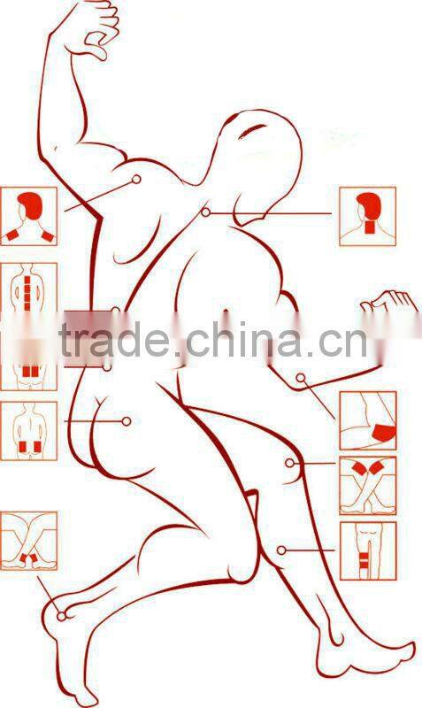 botanical capsicum plaster / porous plaster