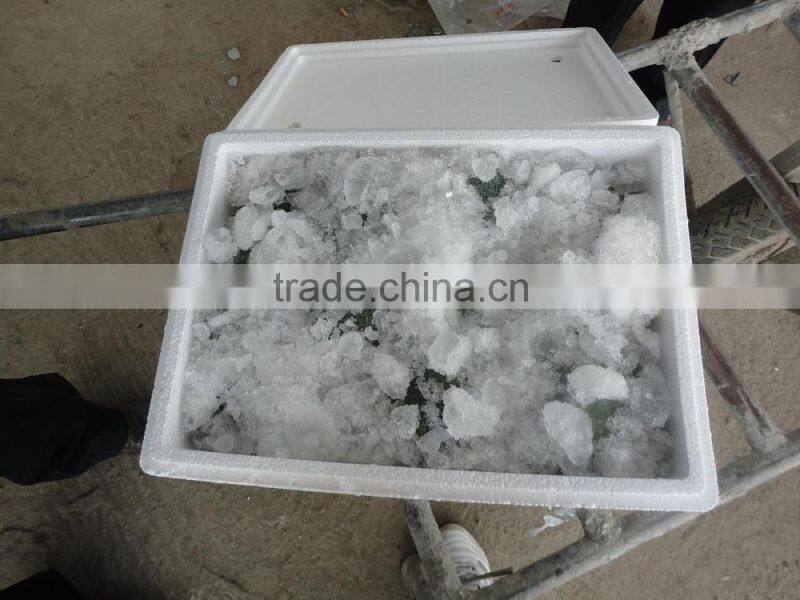 7.5kg foam box fresh broccoli