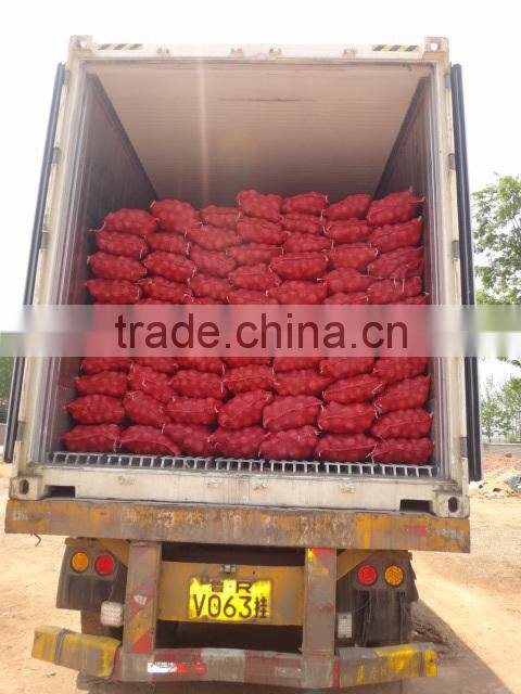 2014 Fresh pink Onion for sale