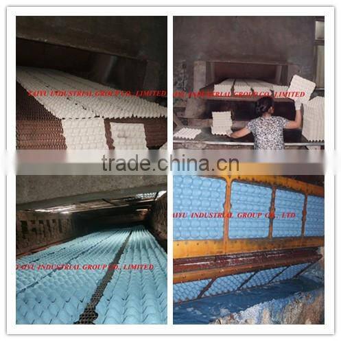 2014 Year TAIYU Paper Egg Tray Factory (Automatic Production Line)