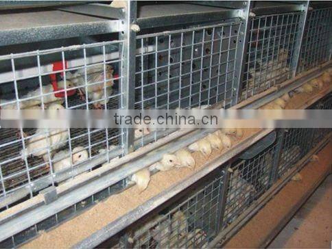 Automatic chicken cage