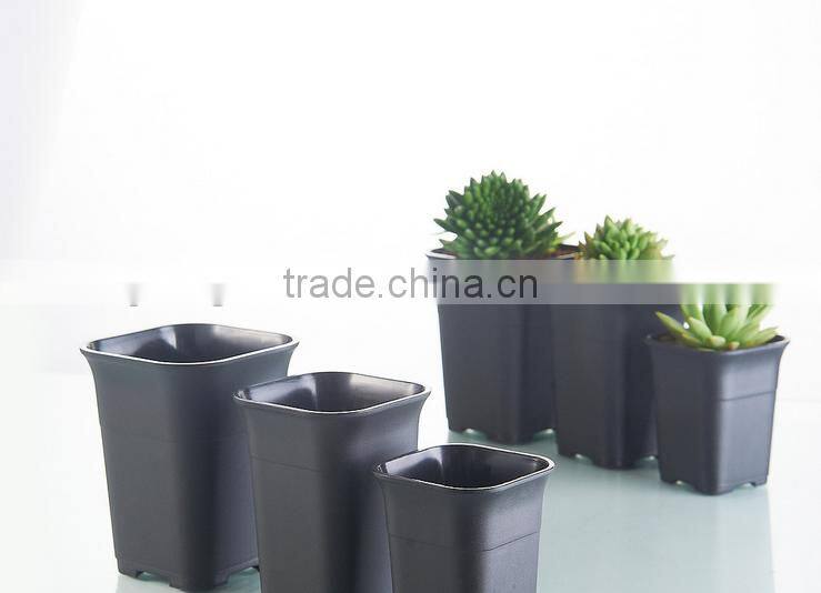 Square small black square succulent plants plastic flowerpot seeding pot