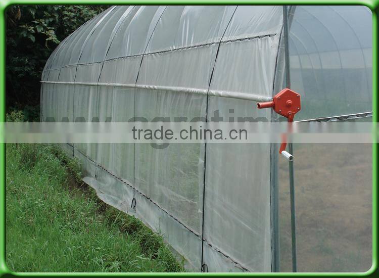 desert rose growing greenhouse for sale in China