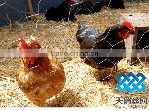 Chicken netting