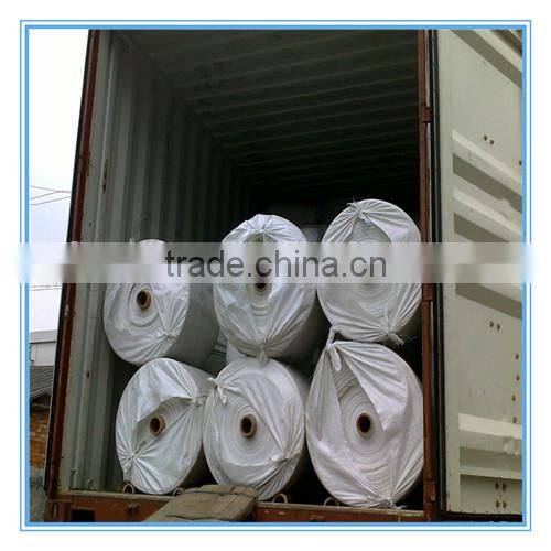 Clear vinyl pe coating material pe leno tarpaulin sheet