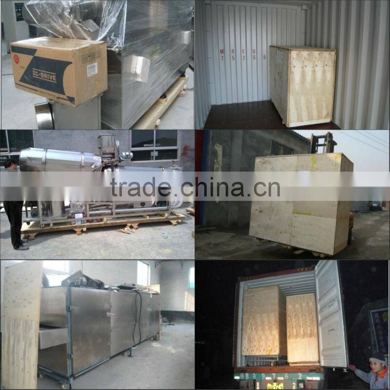 Automatic Continuous Fryer