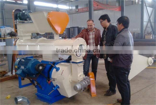 Sri lanka Factory Price CE poultry farm equipment for sale