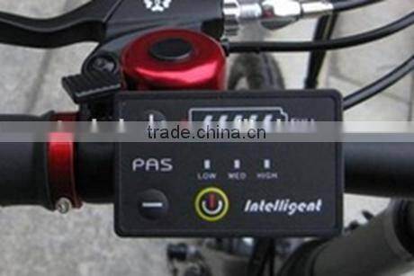 20" tire Lithium battery electric bike/250W cheap electric bike for sale (TK-EB202)