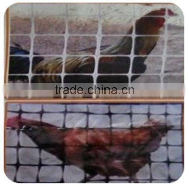 UV stablized BOP material strech net plant climbing mesh net