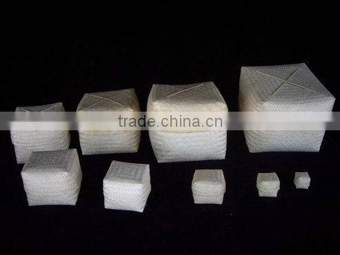 beetle wings earrings